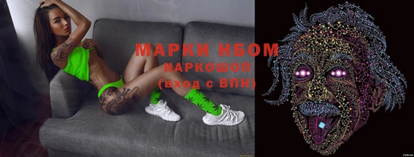 крисы Сатка